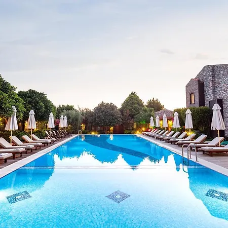 Hotel Luna Begonvil Tas Evler