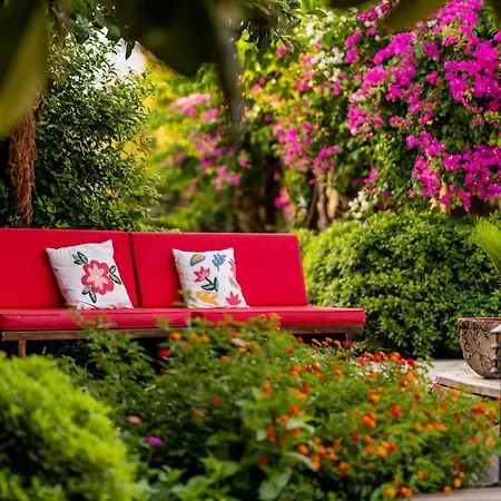 Luna Begonvil Tas Evler 3*