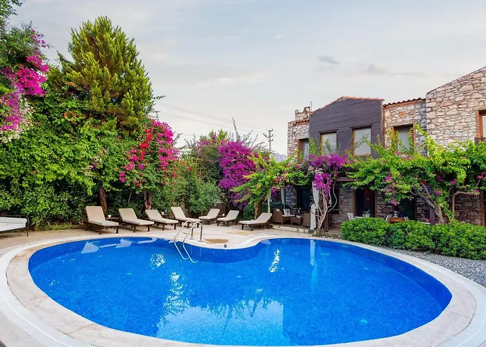 Luna Begonvil Tas Evler 3*