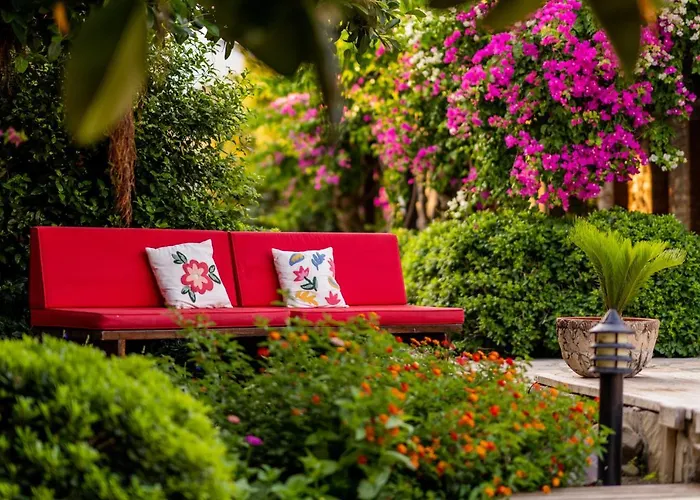 Luna Begonvil Tas Evler 3*